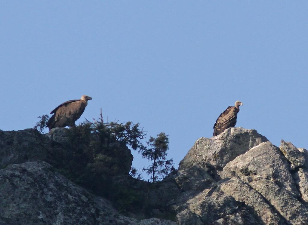 Vilaportuguesa Vila Velha de Rodao Εξωτερικό φωτογραφία