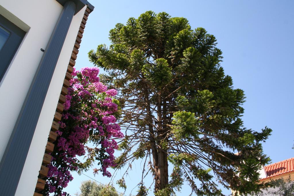Vilaportuguesa Vila Velha de Rodao Εξωτερικό φωτογραφία